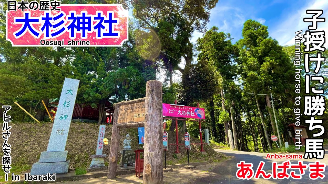 【大杉神社/Osugi shirne】日本で唯一の「夢むすび大明神」/The only 