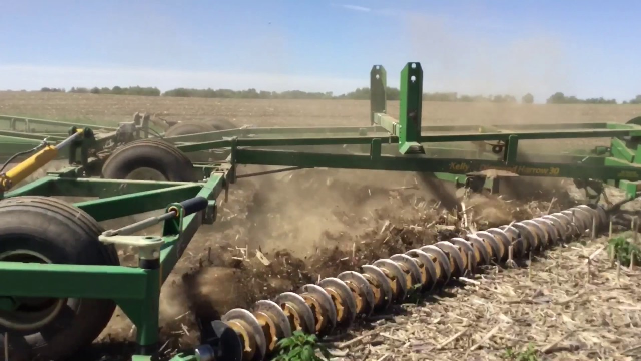 Kelly Diamond Harrow