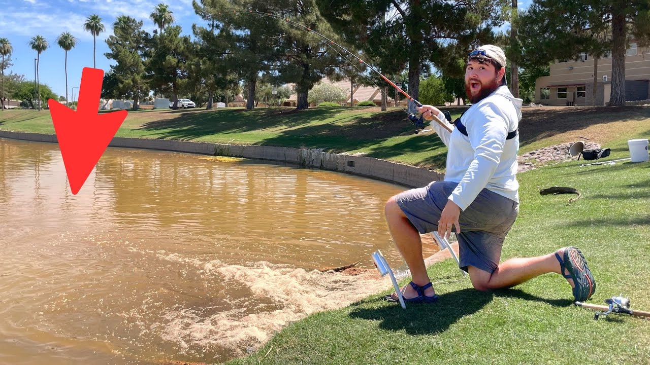 Crazy Golf Course SPILLWAY is LOADED with Fish! (Pond Fishing)