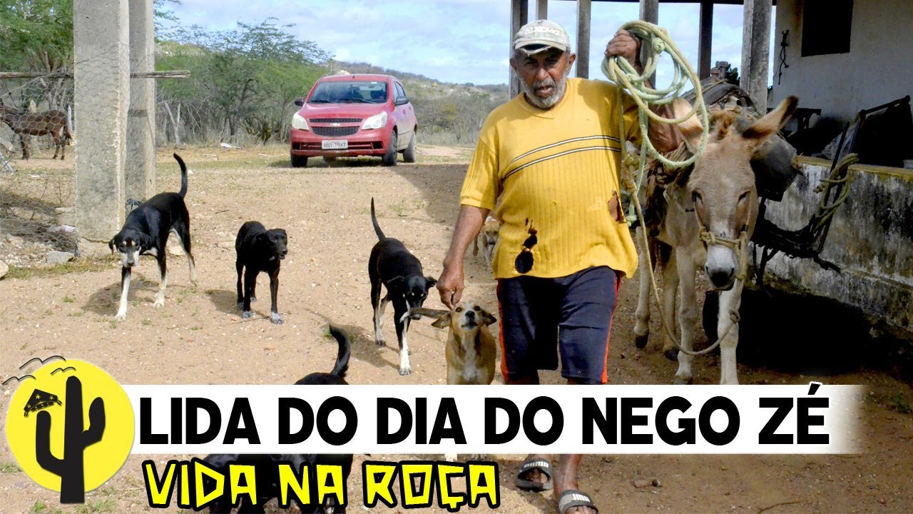 [VIDA NA ROÇA] NEGO ZÉ, Acompanhamos a sua Lida do Dia a Dia, ele contando suas Histórias -Parte 02🌵