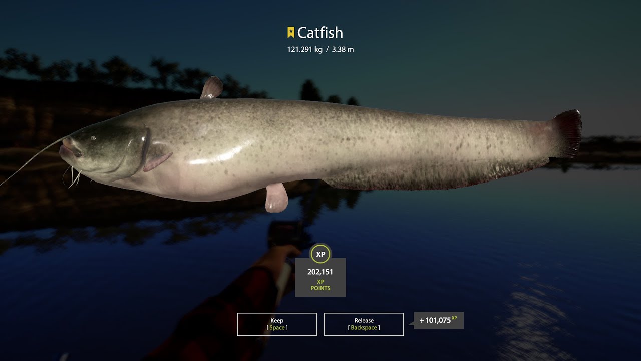 Russian fishing 4 Trophy Catfish