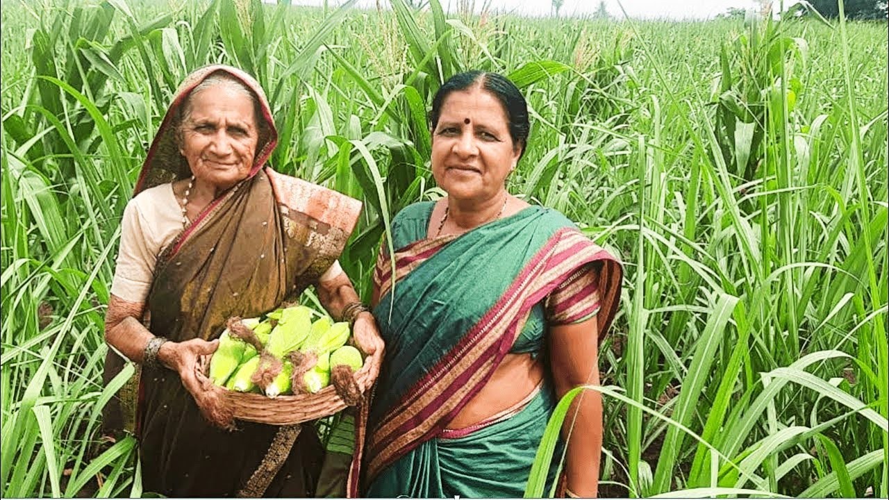 खाल्यानंतर चव विसरणार नाही असा गावरान चवीचा मक्याचा झणझणीत पदार्थ | Gavran ek khari chav