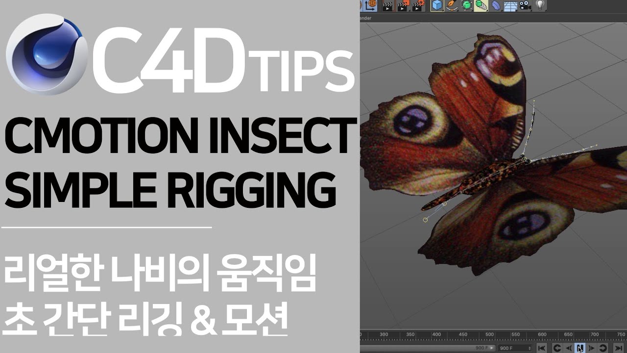 CMOTION Butterfly Rigging&Motion | 실무에서 바로 써먹을 수 있는 나비 리깅&모션 초간단 팁!
