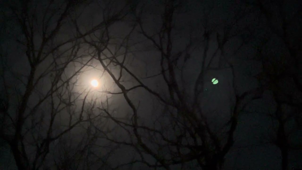 Outside, looking up at the moon.🌙 it says you can see all the planets in a row tonight.2/28/2026