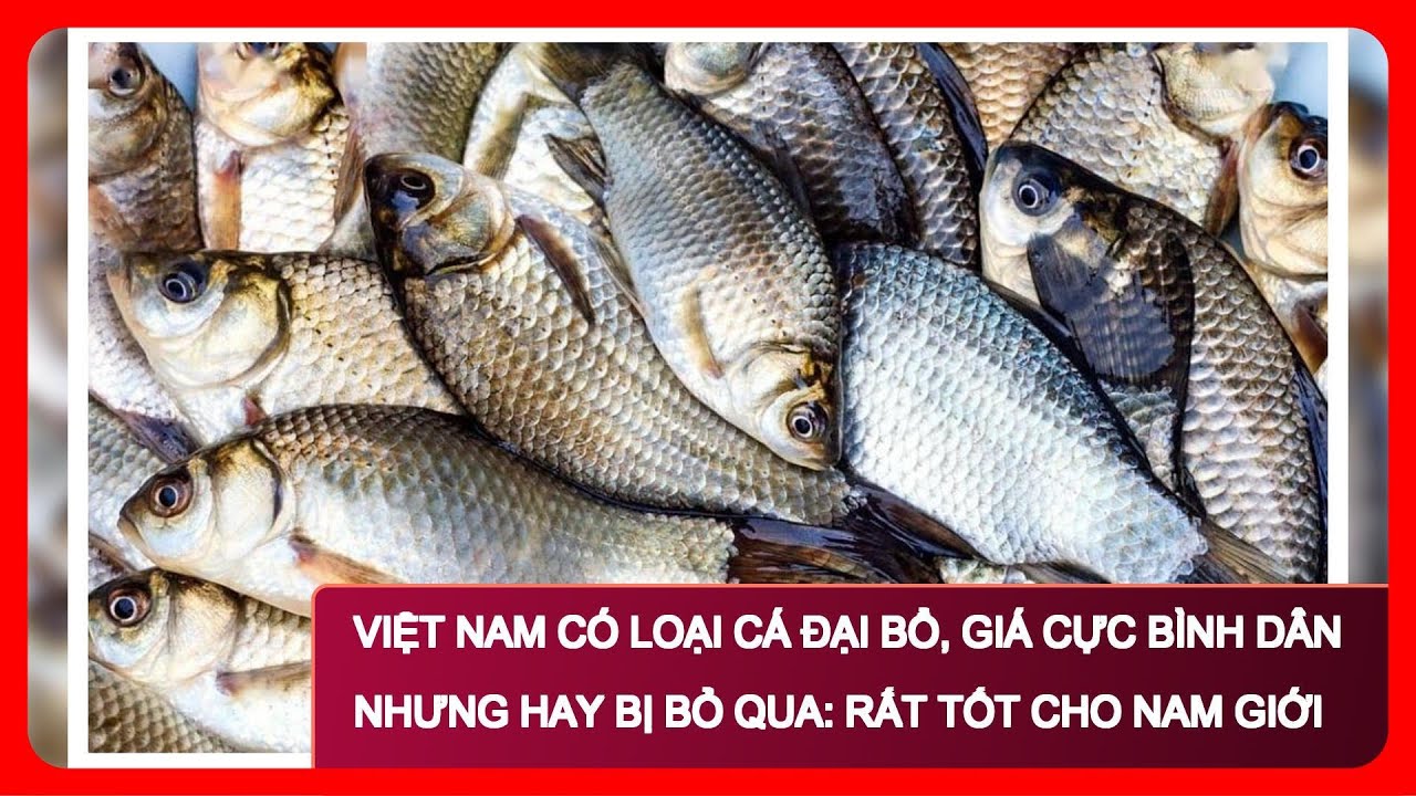 Việt Nam có loại cá đại bổ, giá cực bình dân nhưng hay bị bỏ qua: Rất tốt cho nam giới