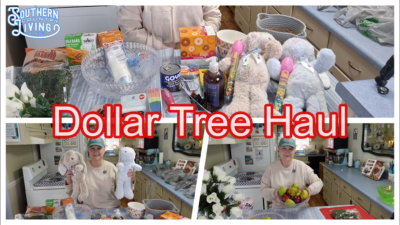 Black Bean Dollar Tree Trip Costs $62  --  My Unintentional Haul 2-19-2026