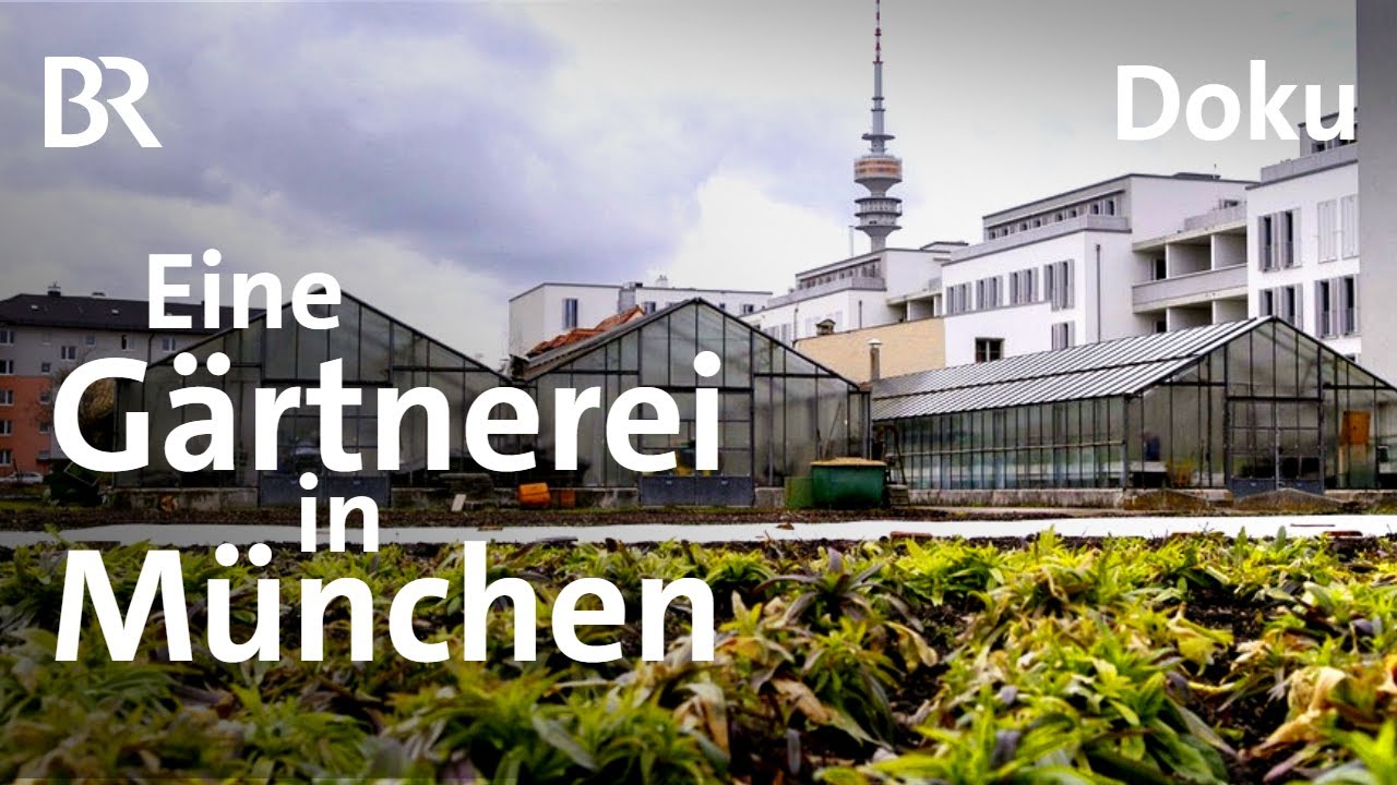 Als Gärtner in München - Vom Frühjahr bis zum Herbst | Unter unserem Himmel | Doku | BR | Familien