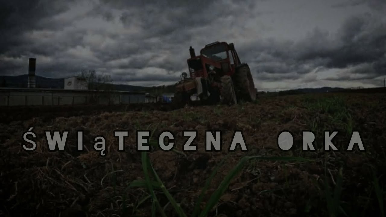Świąteczna orka 