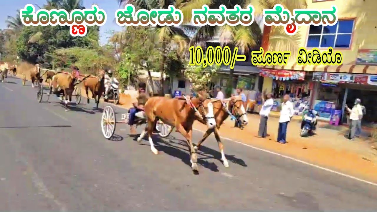 ಕೊಣ್ಣೂರ ಜೋಡು ನವತರ ಮೈದಾನ 10,000/-💨🔥 |कोन्नूर दोन्ही नवतर मैदान⚜ | 22-2-2026