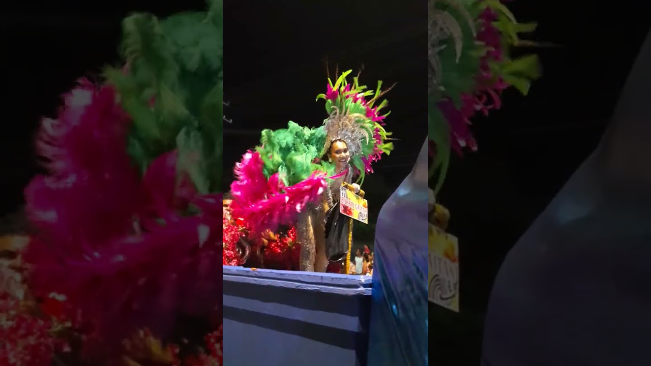 Así lucieron las reinas en el desfile de carrozas en las fiestas del veinte de enero en 