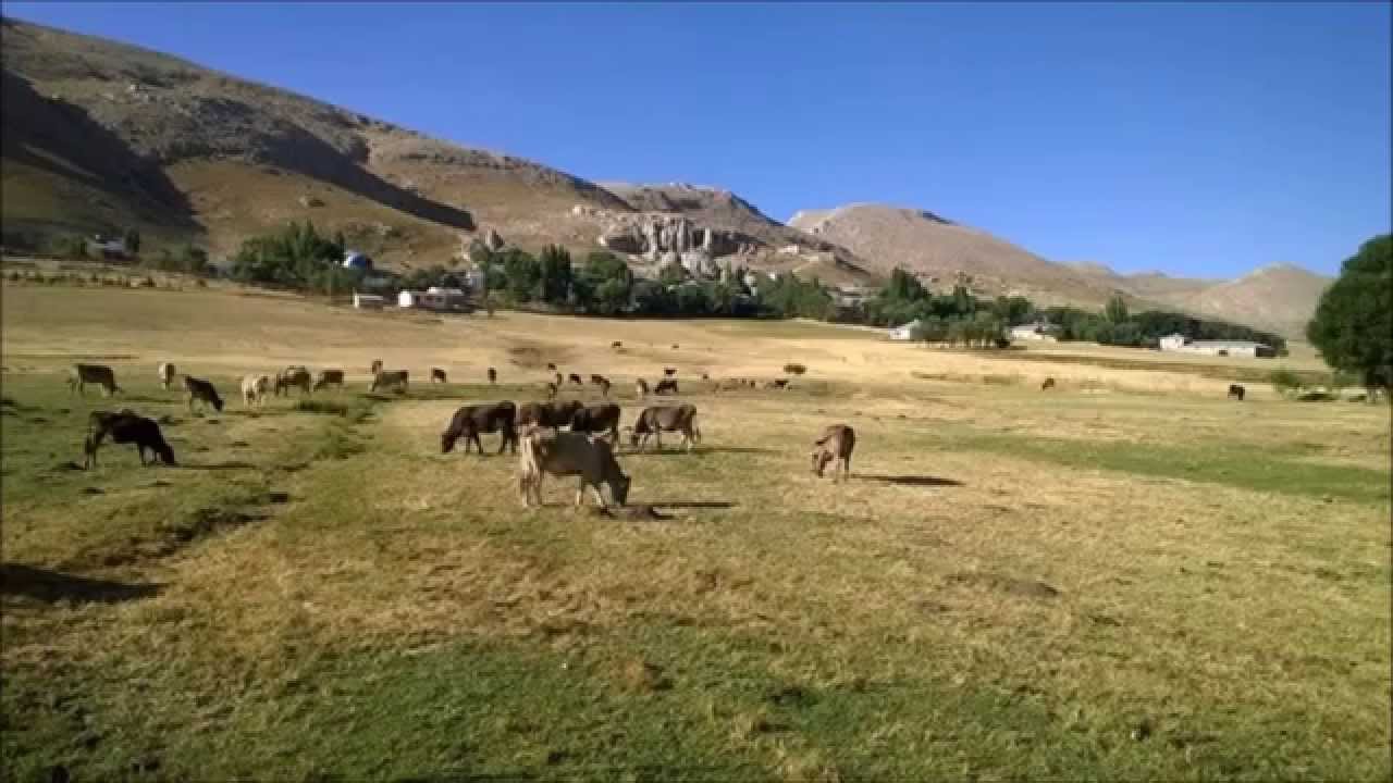 çavdar köyü sarız