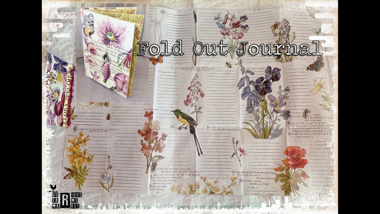 Carmen's Curious Idea: Fold Out Journal