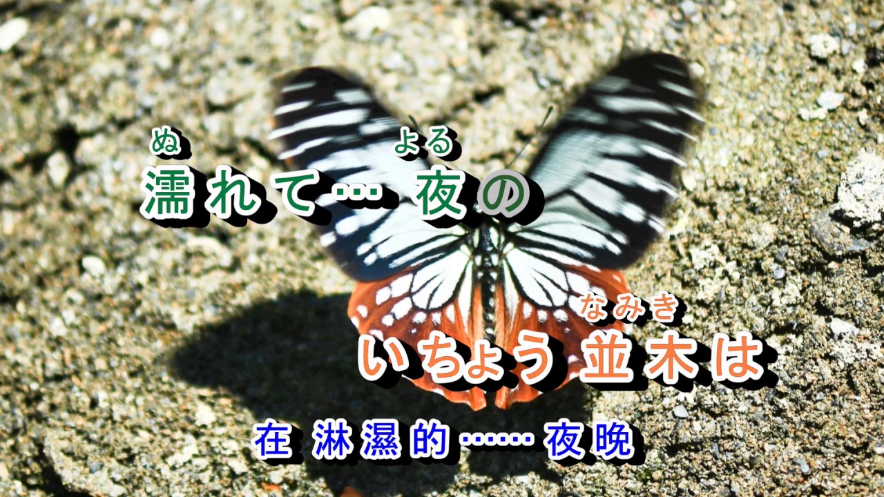 02-091   雨の御堂筋   音圓  42604