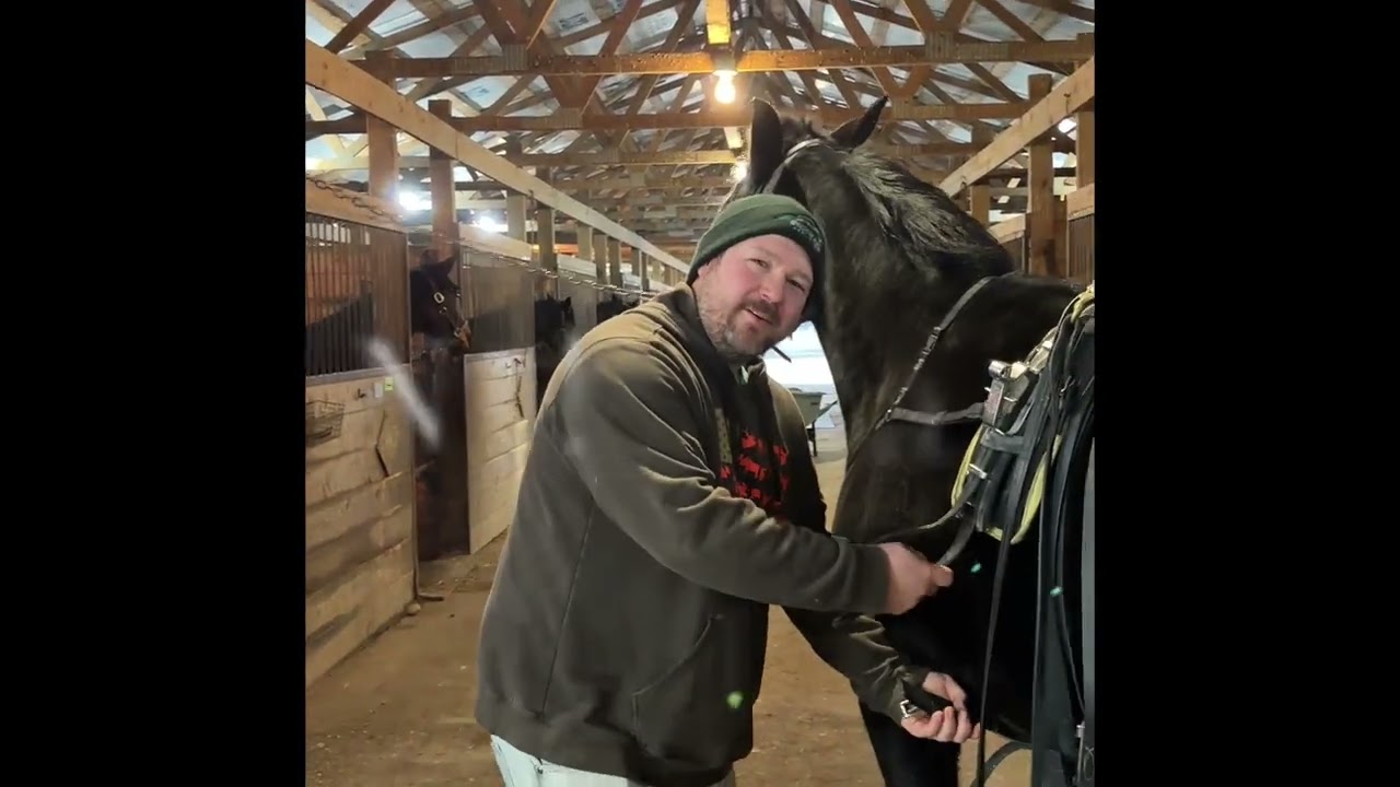 Stable Family & Upcoming Goals