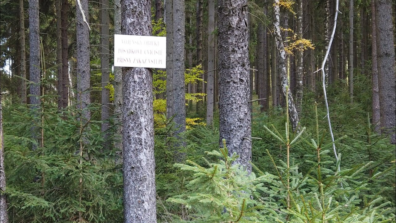 60.  Umrlá louka - brdská záhada, hrad Valdek a toulání s Víťou