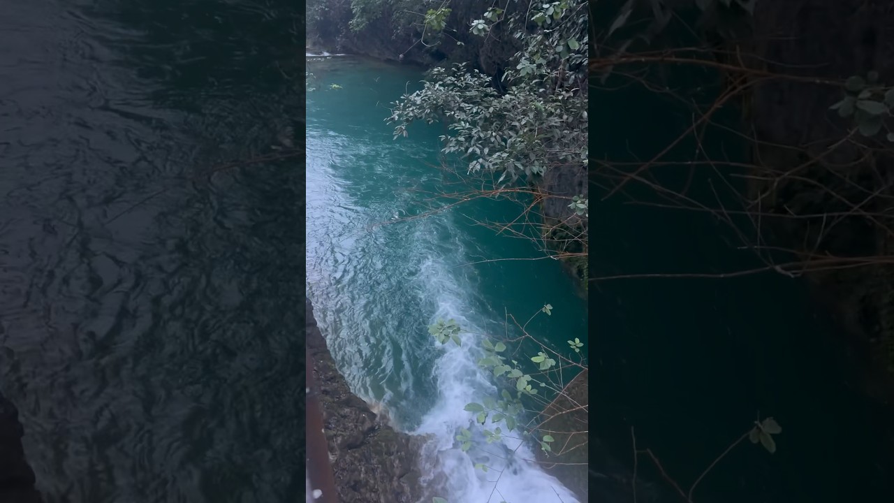 Can a Nature Video Help You to Relax?  