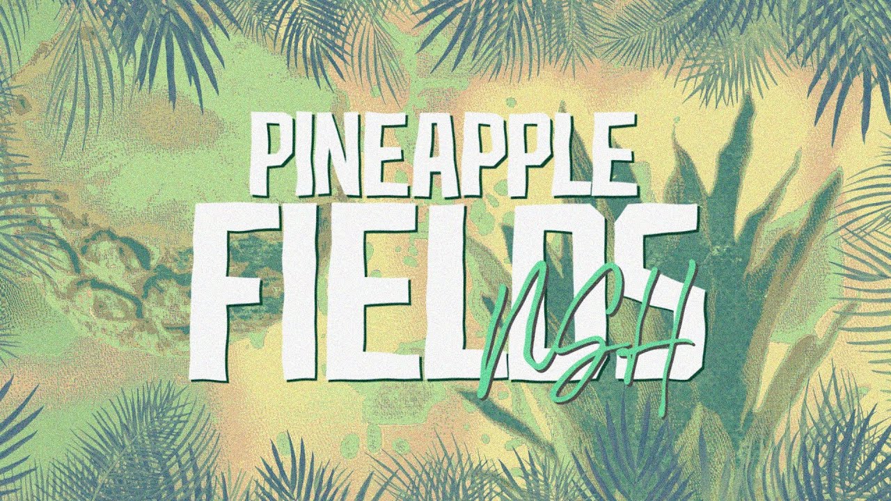 NSH - Pineapple Fields (Lyric Video)