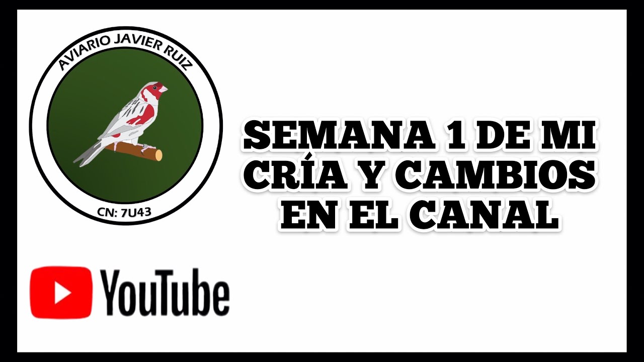 SEMANA 1 DE MI CRÍA Y CAMBIOS EN EL CANAL