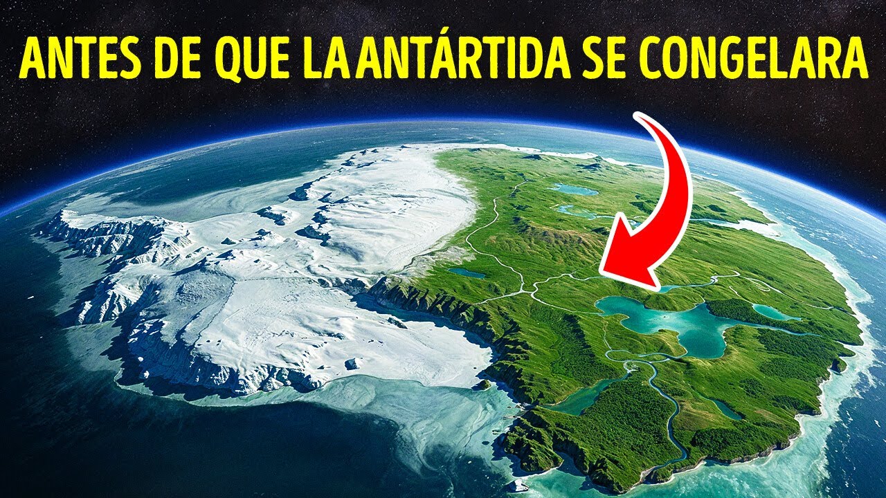 Investigadores encuentran un bosque lluvioso perdido enterrado bajo la Antártida