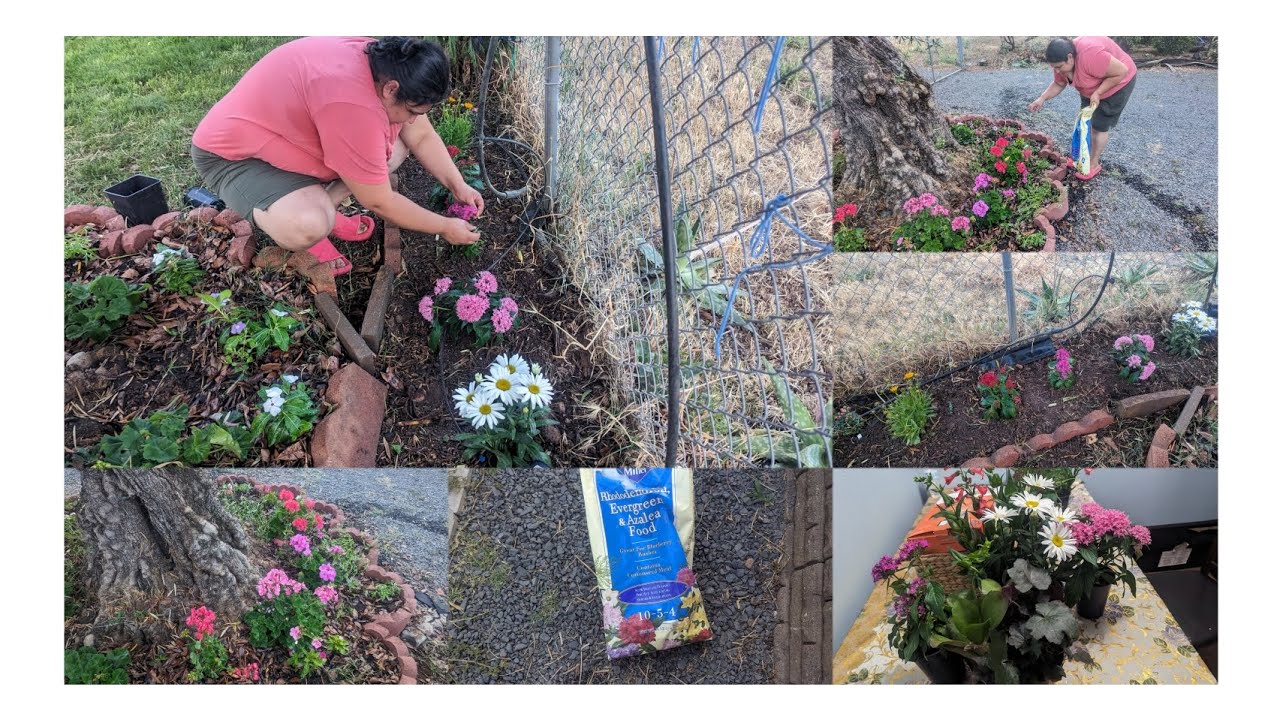 Plantando plantas abonando y embelleciendo el jardín