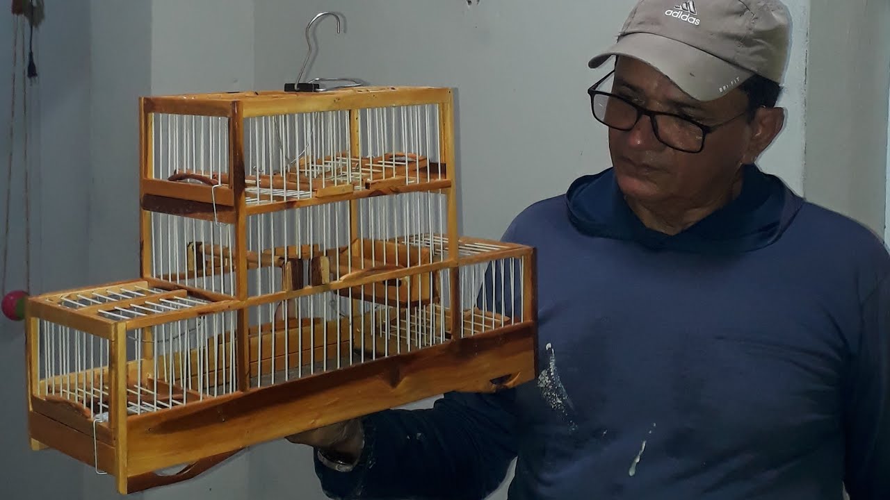 mais uma pegadeira prucanal assis gaiolas