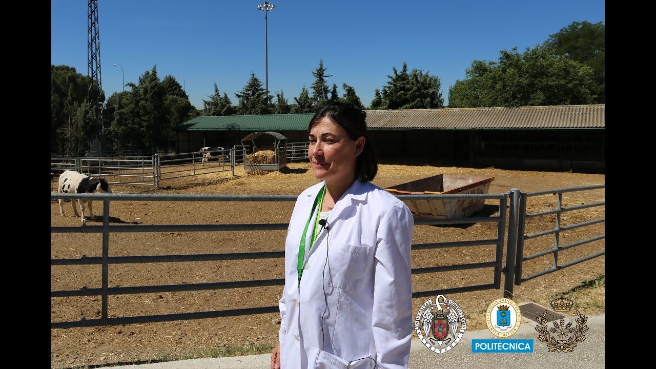 Máster Producción y Sanidad Animal (conjunto con UCM)