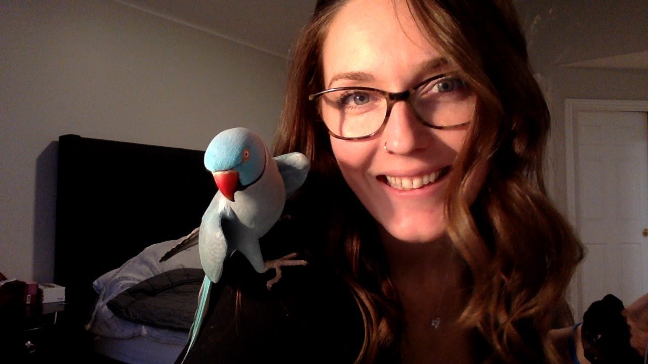 Kiwi Says BOOP