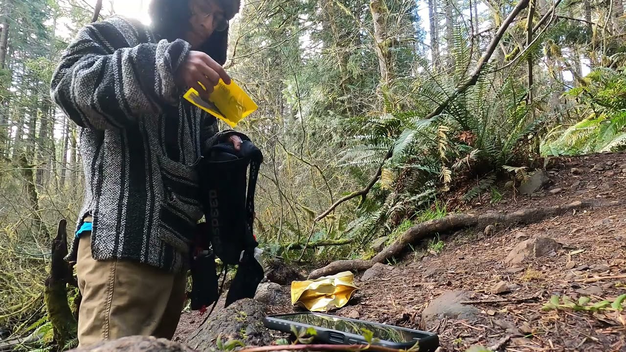 Capitol state forest dayhike