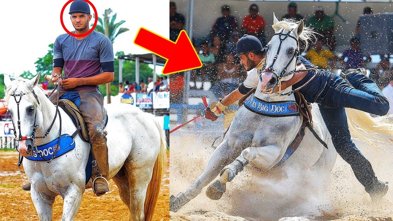 10 VEZES QUE ELES PROVARAM SER OS MELHORES DA VAQUEJADA 2022