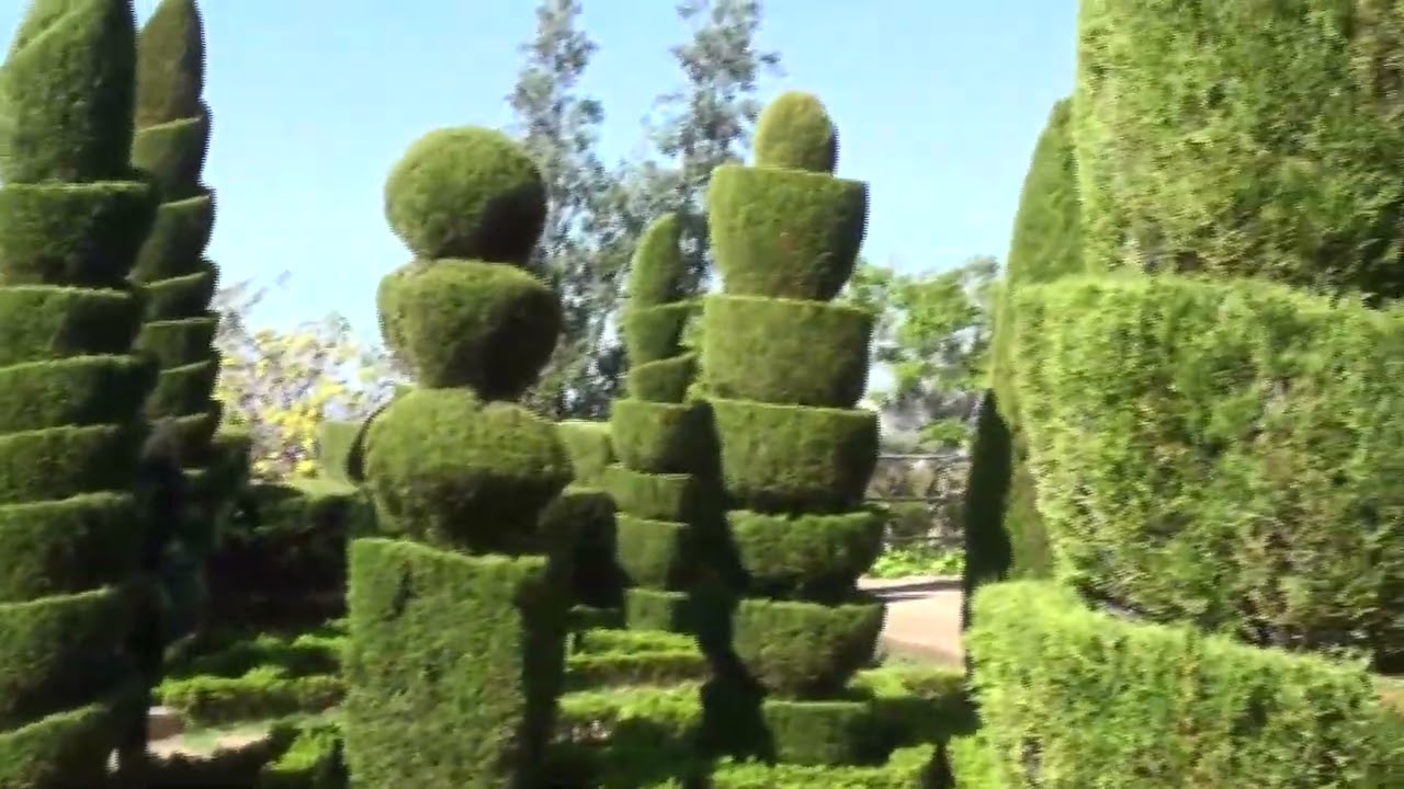 Madeira 2011
