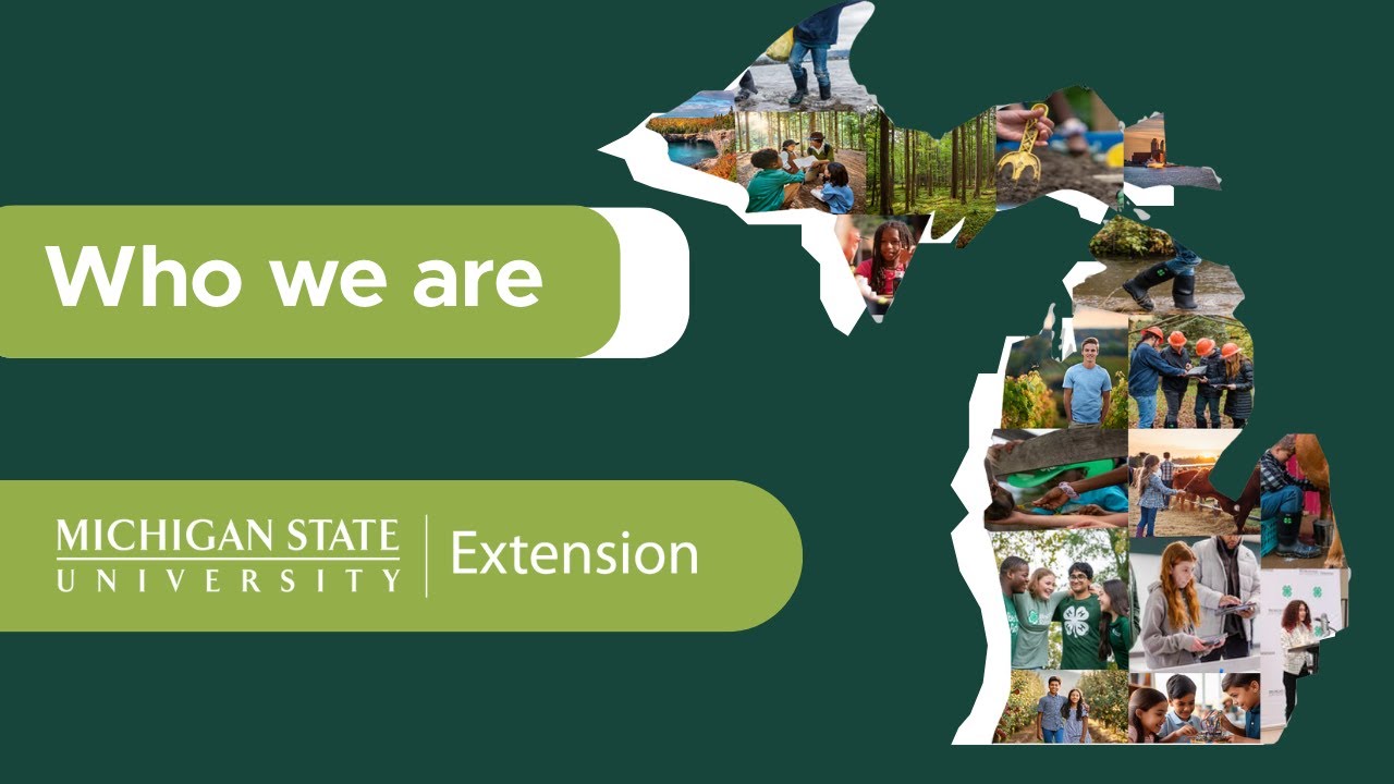 What is MSU Extension?