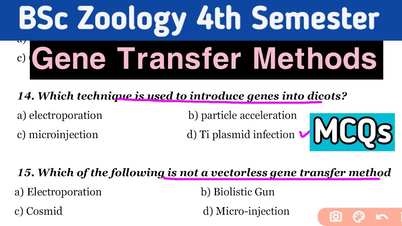 Gene Transfer Methods MCQ Questions || 4th Semester MCQ || Unit 1 || BSc 2nd Year Zoology MCQ
