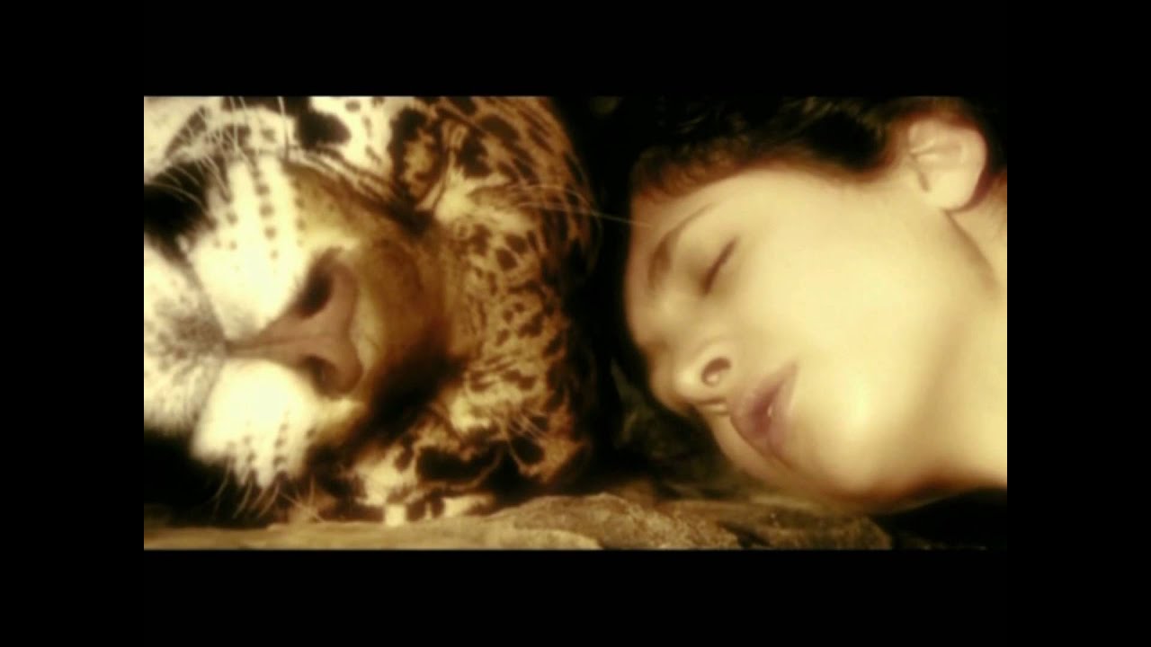 Enya - Evening Falls (HD)