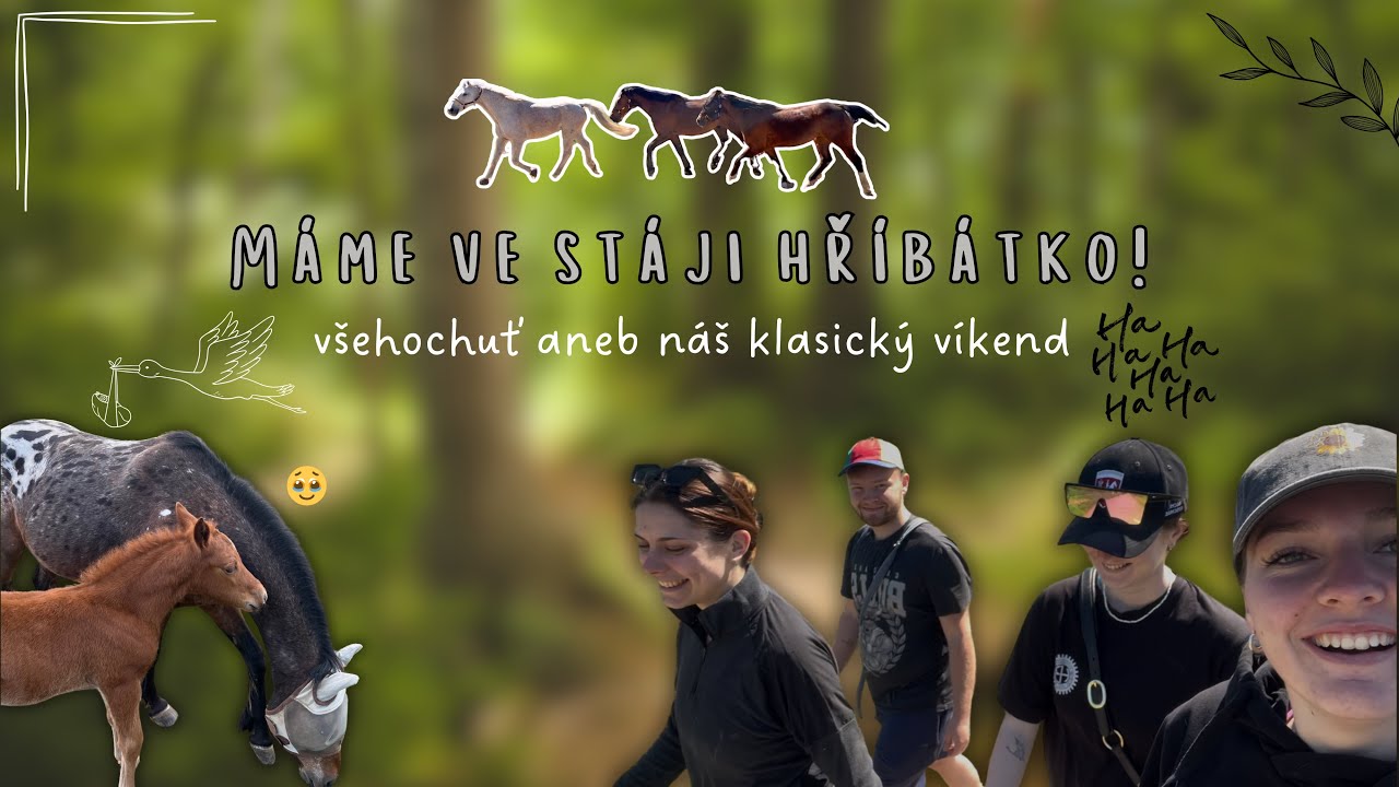 Máme ve stáji hříbátko 🥹🧡 // Smartyna je zloprcek a konečně máme čistý koně 🫧