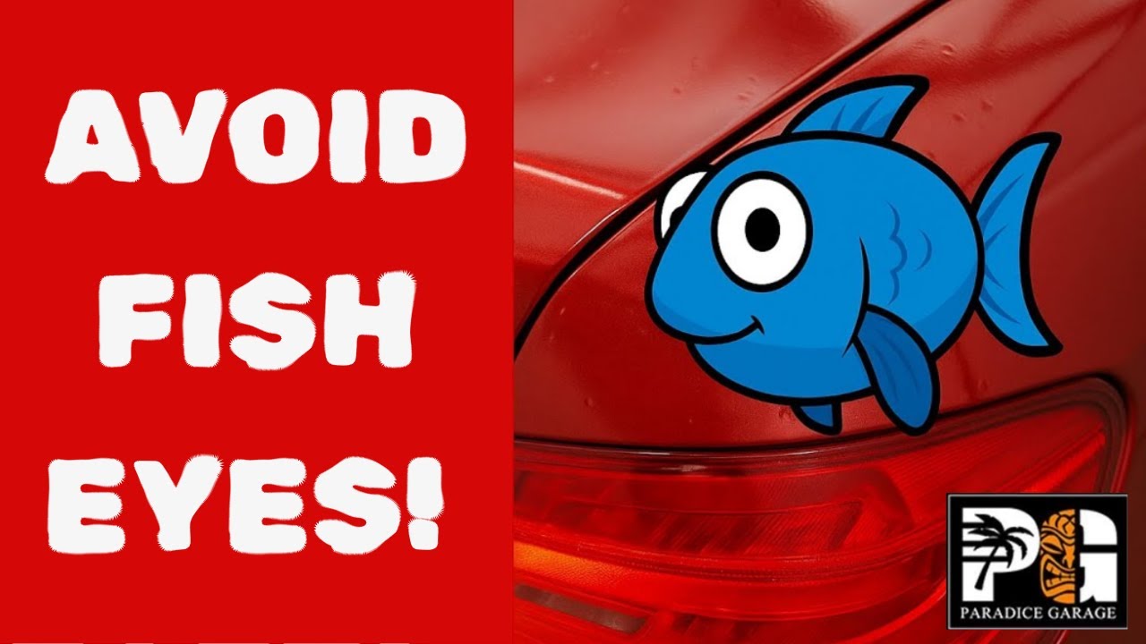 Fish Eyes & Contamination – Fix & Prevention Guide