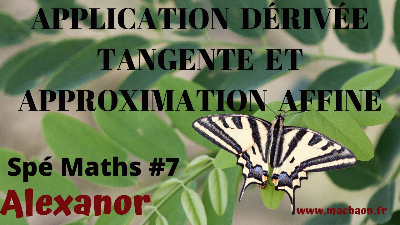 Spé Maths au lycée  #7 - application de la dérivée : tangente et approximation affine