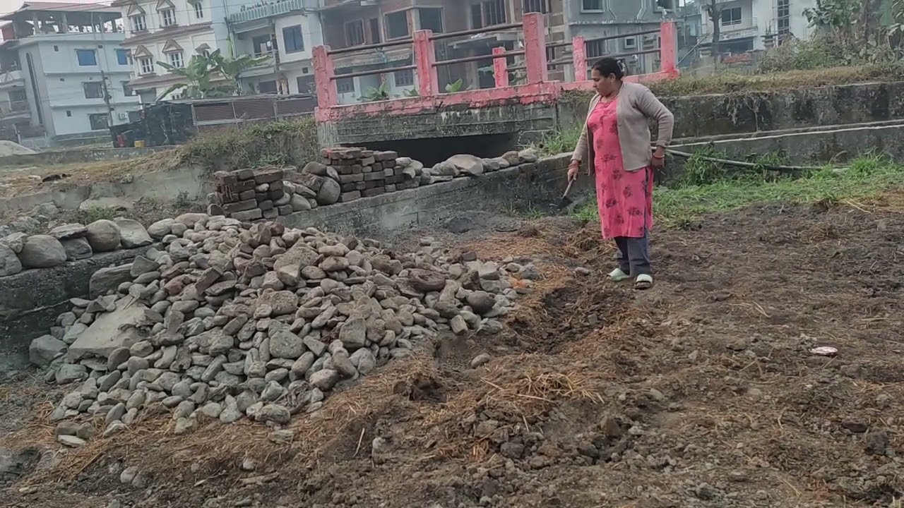Urban Agricultural Revolution happening in Birtamode, Jhapa the easternmost part of Nepal South Asia