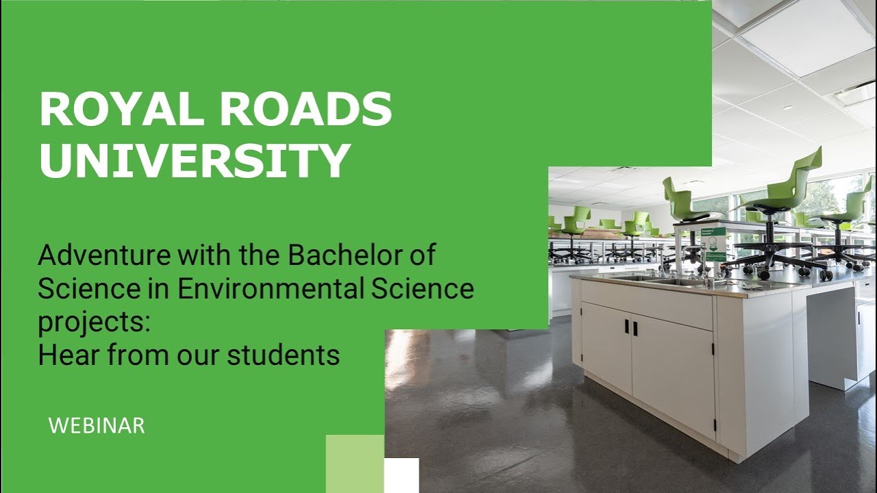 Adventure with the BSc projects: Hear from our students