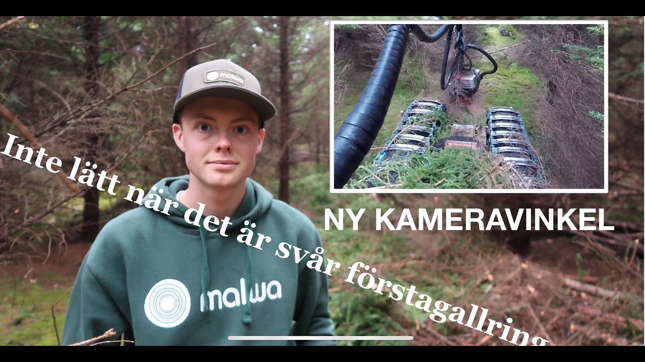 Malwa i superfin stenig, backig och grentät förstagallring med skogssnack