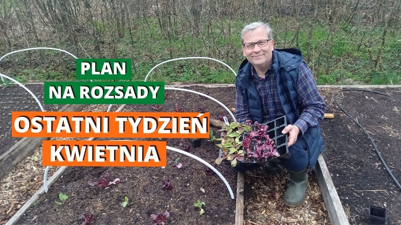 Przełom kwietnia i maja. Plan na rozsady.