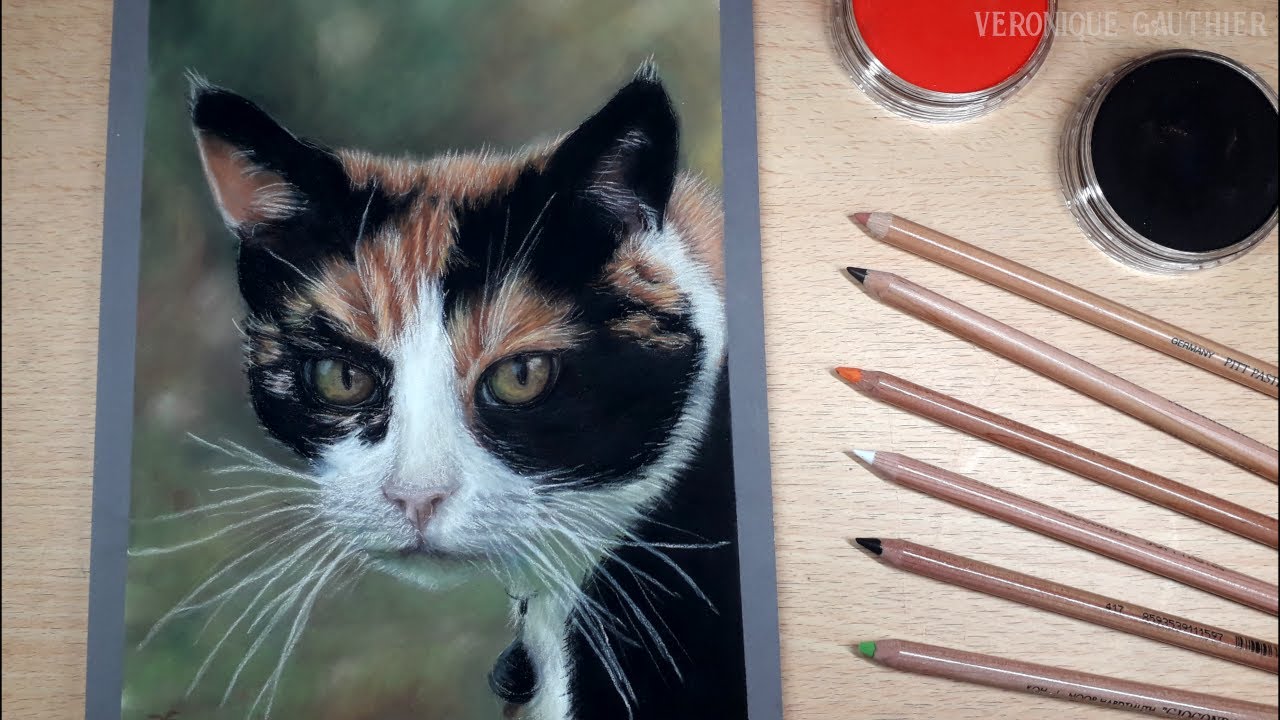 Drawing a calico cat in PASTEL /// Realistic drawing timelapse
