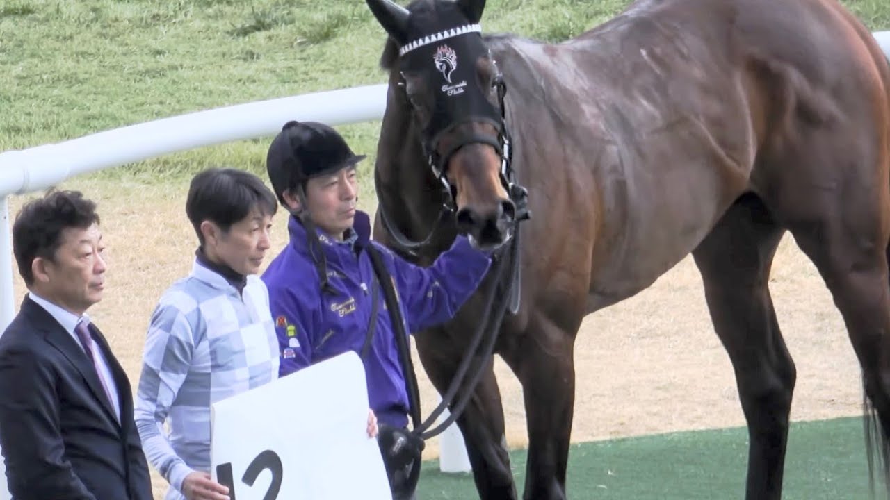 【武豊】ドウデュースの弟エンダードラゴンで6馬身差の圧勝劇‼勢いあり過ぎてすぐには止まらない 現地映像