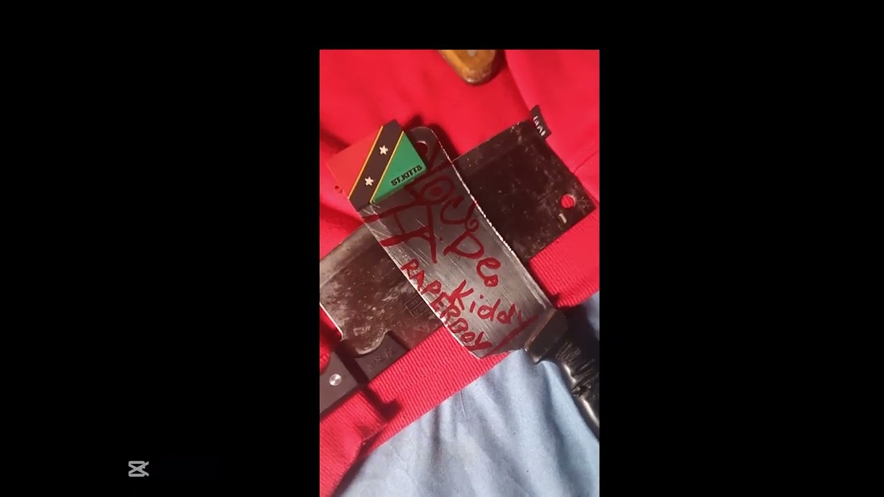 J Slicc Ft AK Dan- Freestyle⚠️🇰🇳(Locked Up Remix)[Vizualizer]