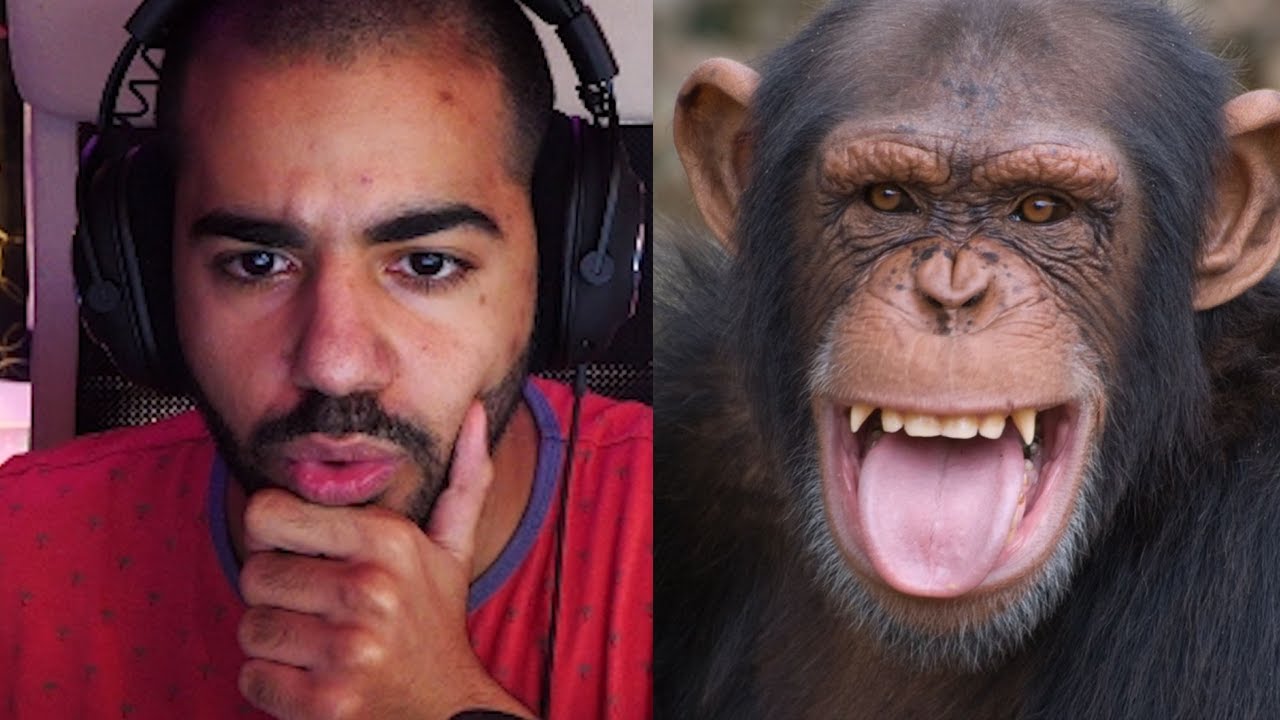 مين اذكى؟ انا واللا القرد؟ 🤔🐒