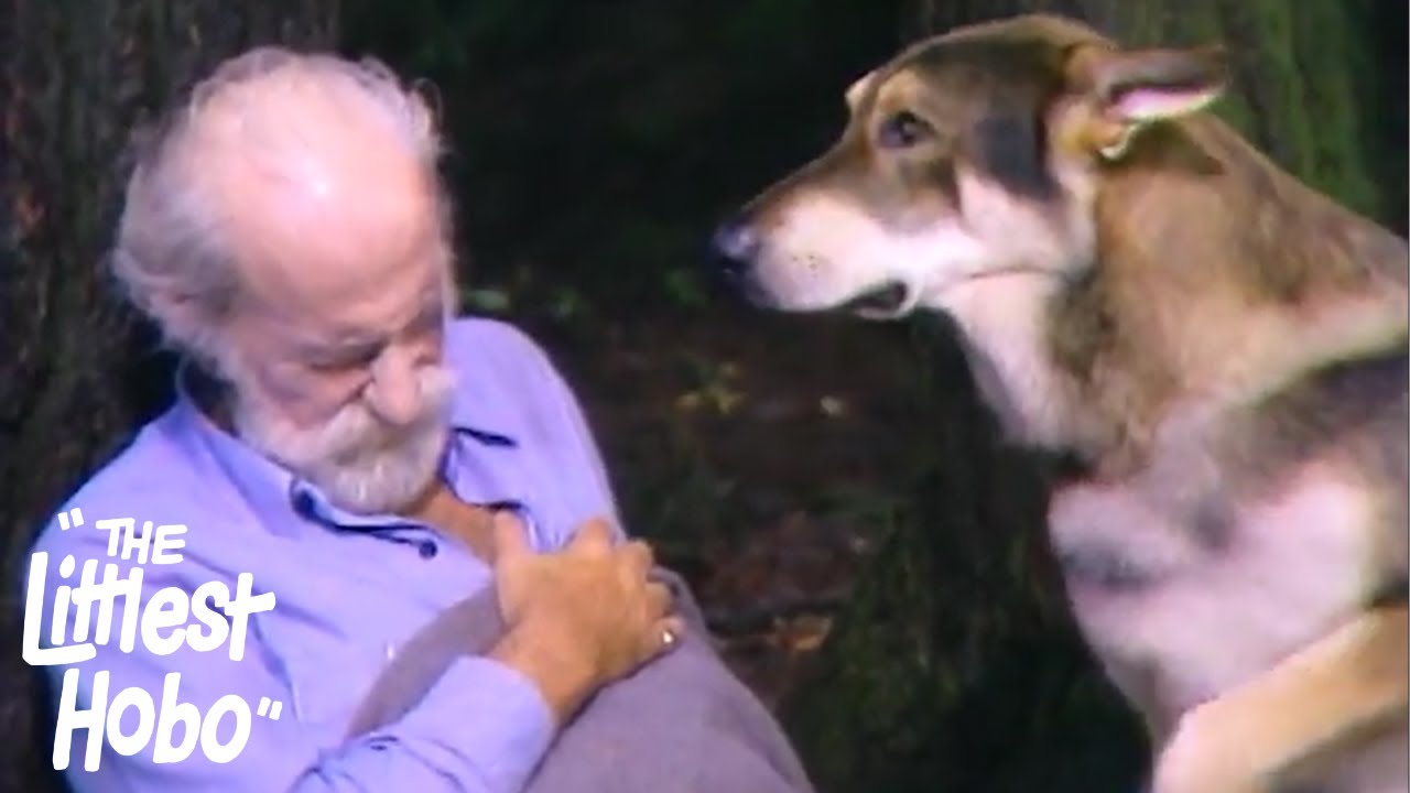 The Balloonist | The Littlest Hobo | Season 2 | Episode 2