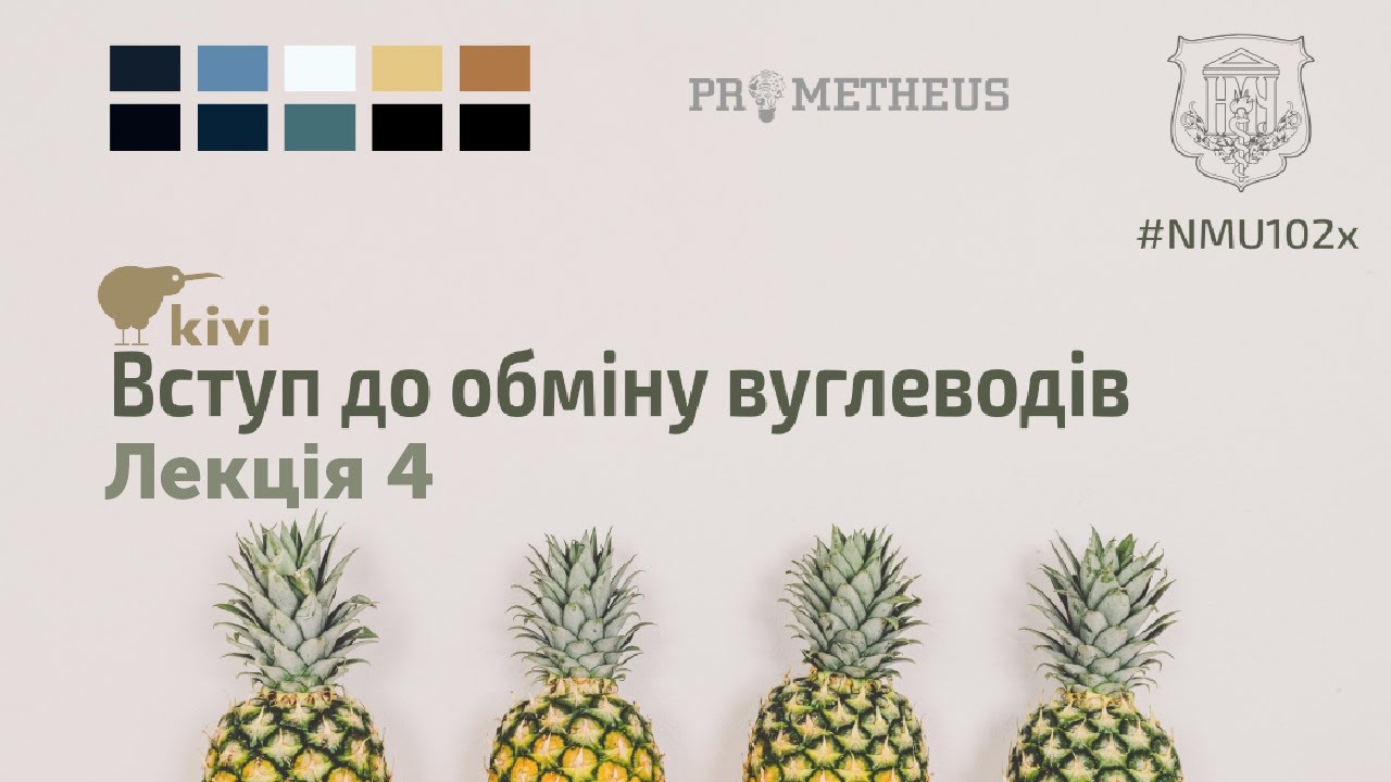 1. Глікогенез. Частина 1