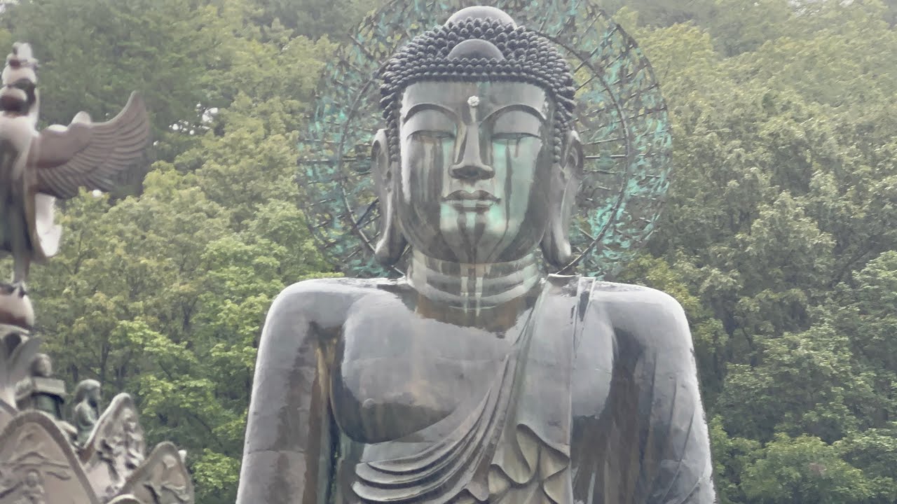 South Korea trip