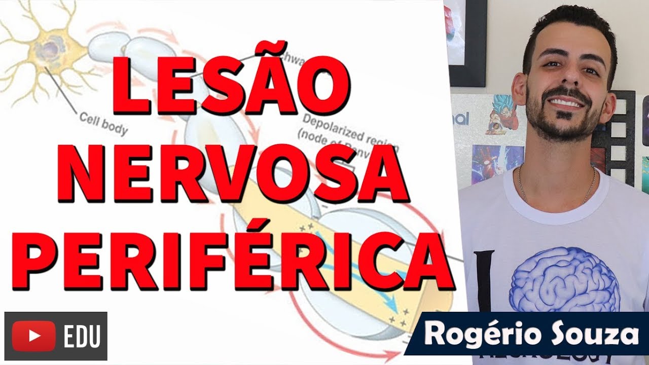 LESÃO NERVOSA PERIFÉRICA (Neuropraxia, Axonotmese e Neurotmese) - Rogério Souza