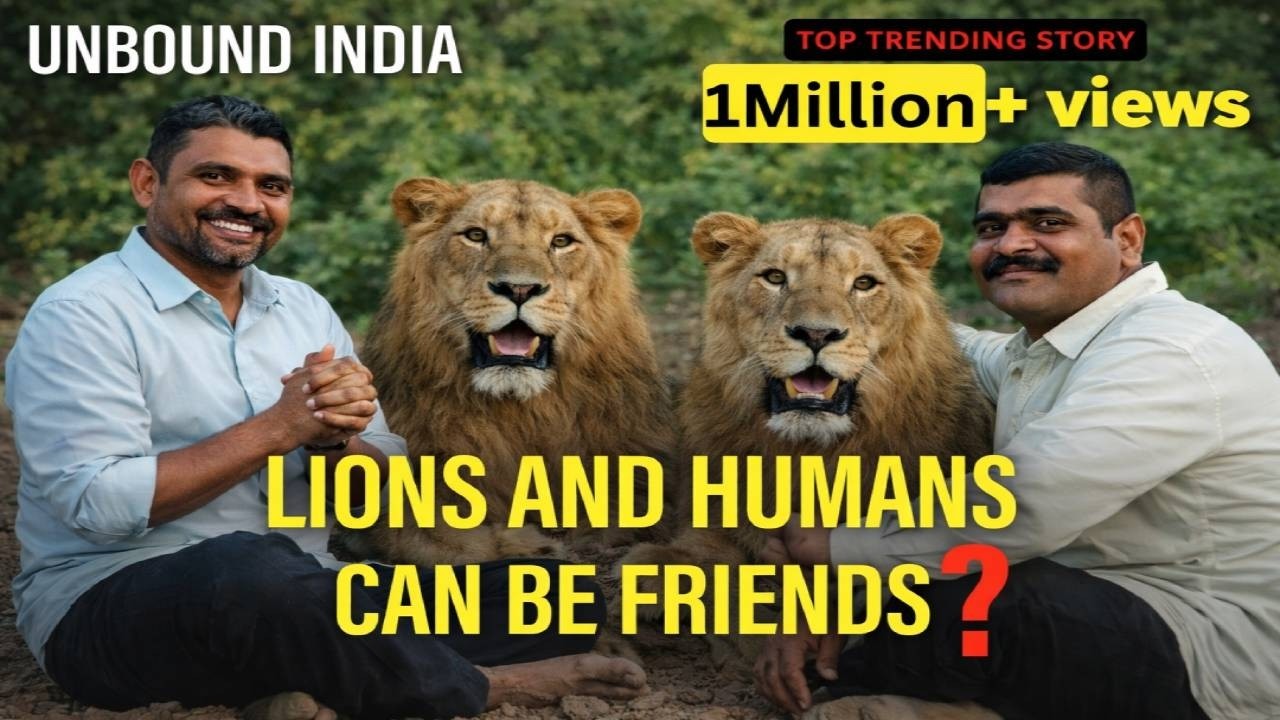 HUMANS AND GIR ASIATIC LIONS ARE RELATIVES ? Gir Asiatic lions | Sasan Gir forest | गिर के शेर