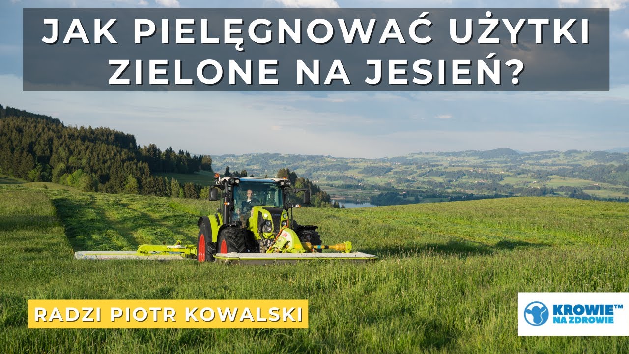 Jak pielęgnować użytki zielone na jesień? | Krowie Na Zdrowie 🐮☘